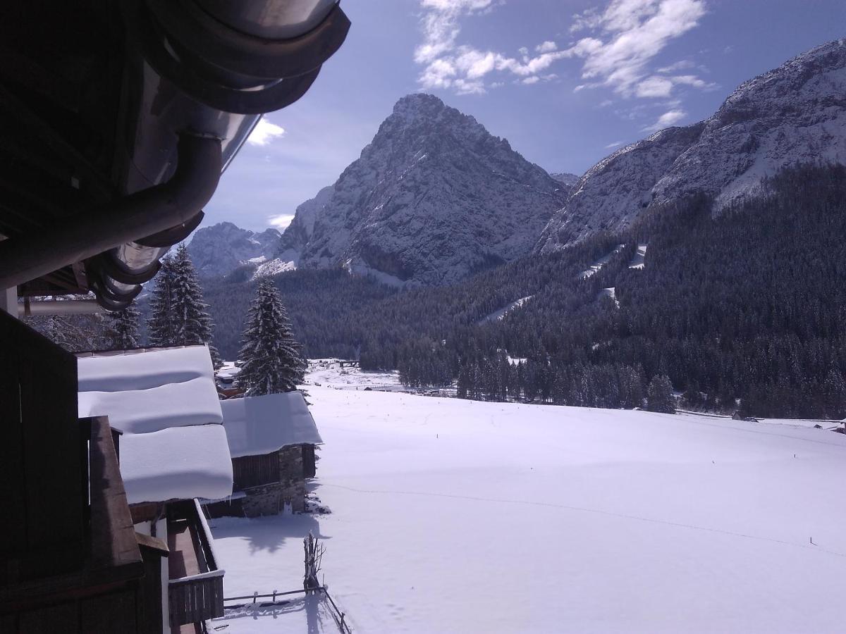 Plodn House Apartment Sappada Bagian luar foto