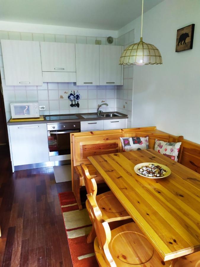 Plodn House Apartment Sappada Bagian luar foto